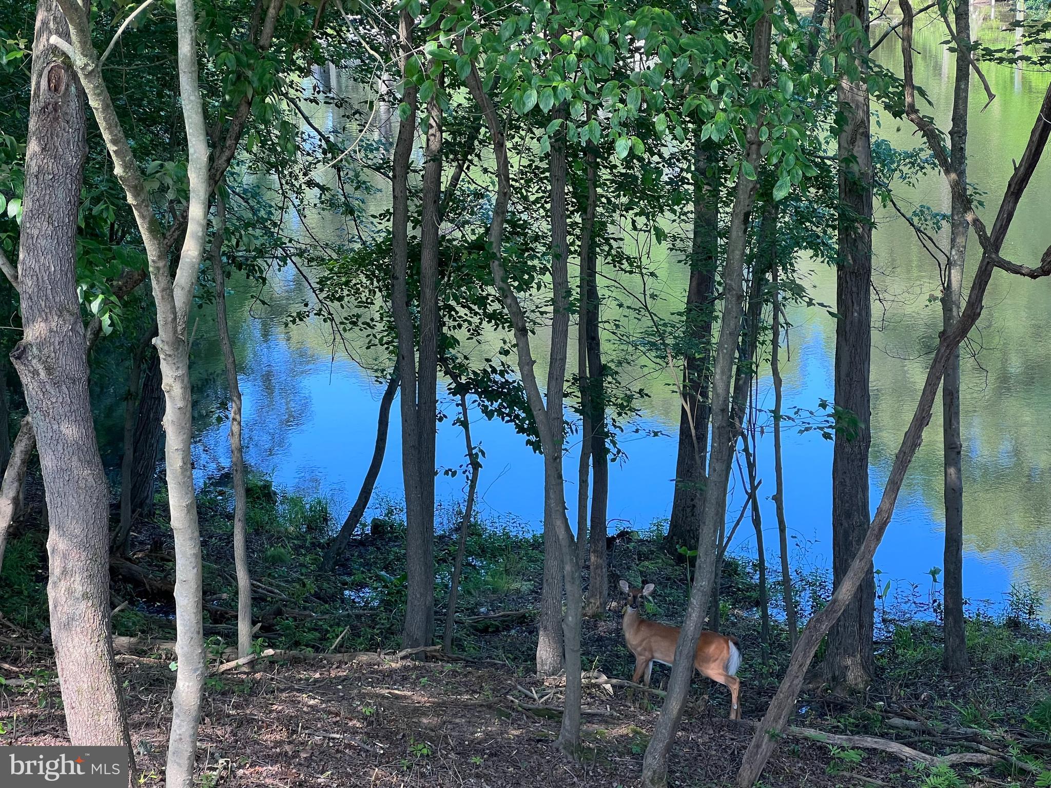 828 Swift Road Pasadena, MD 21122 - Photo 11 of 38