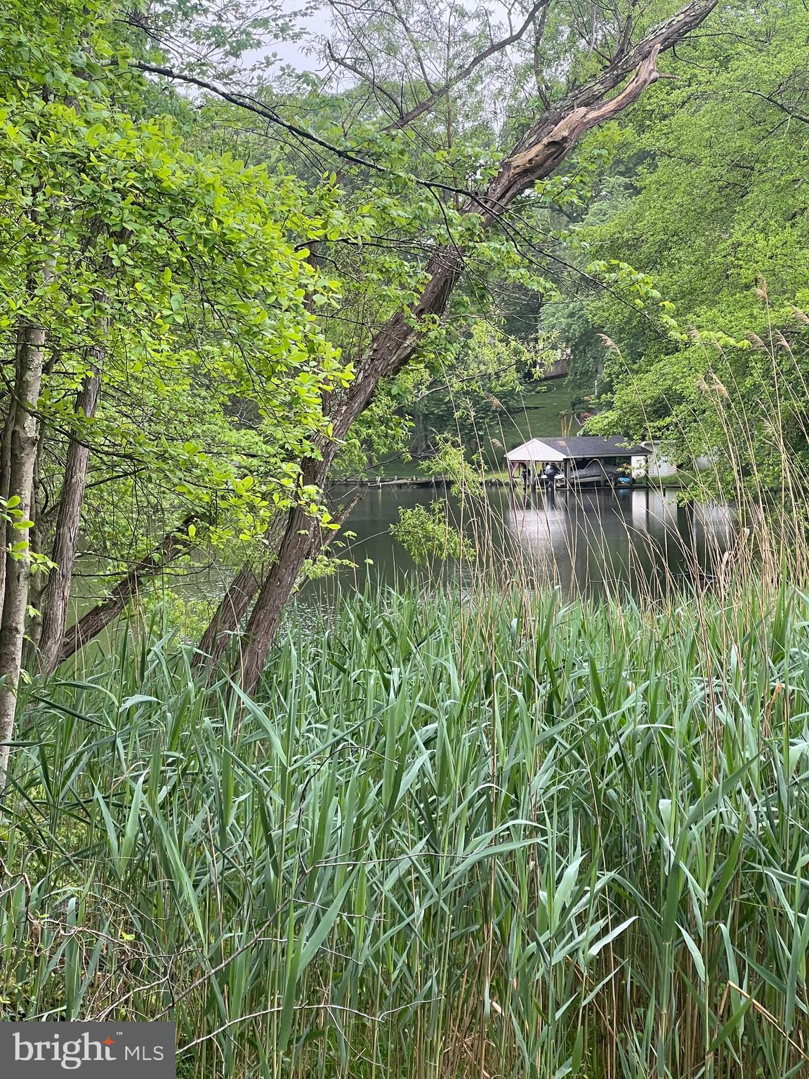828 Swift Road Pasadena, MD 21122 - Photo 5 of 38 Views at rear of lot.