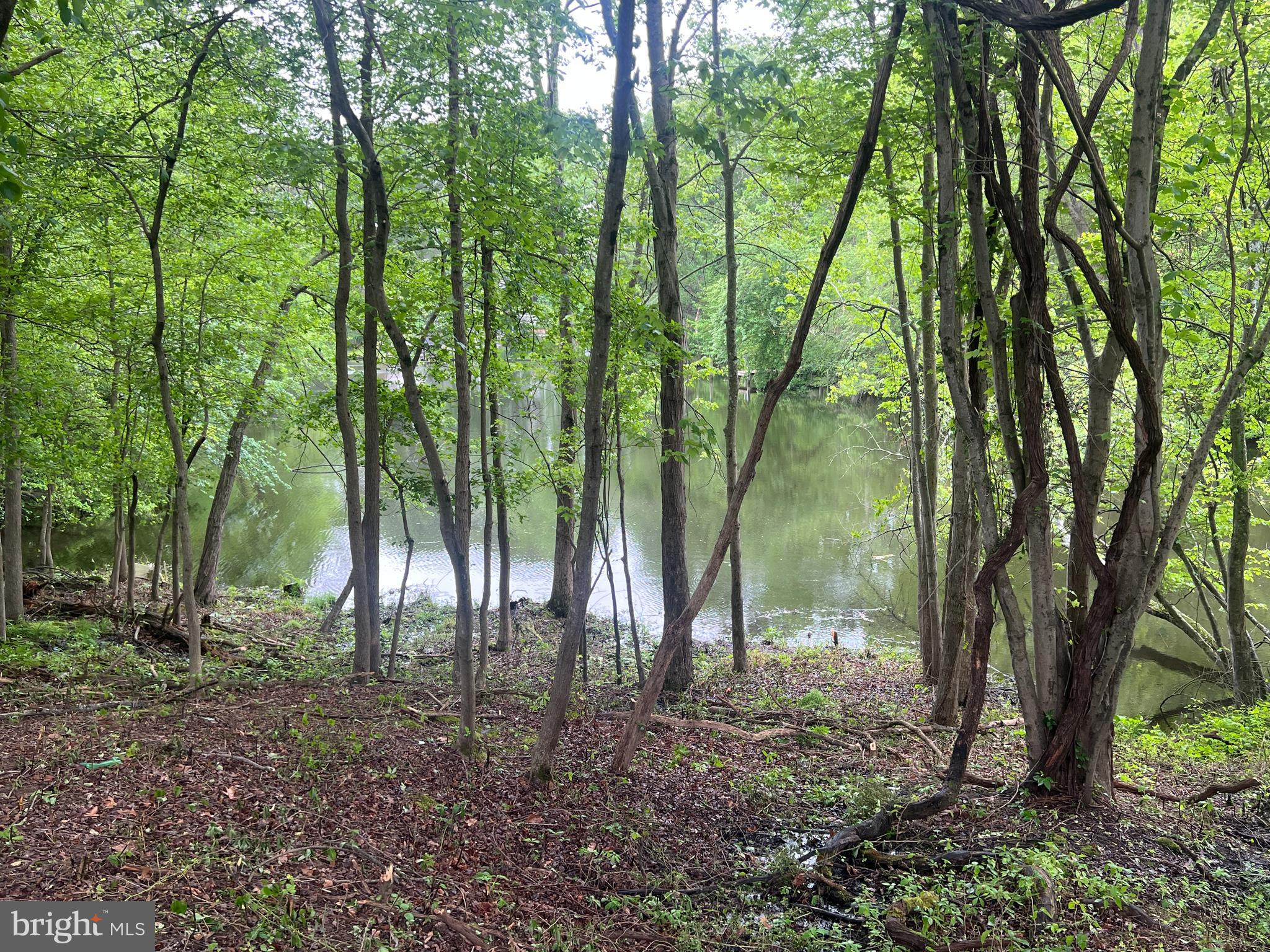 828 Swift Road Pasadena, MD 21122 - Photo 6 of 38