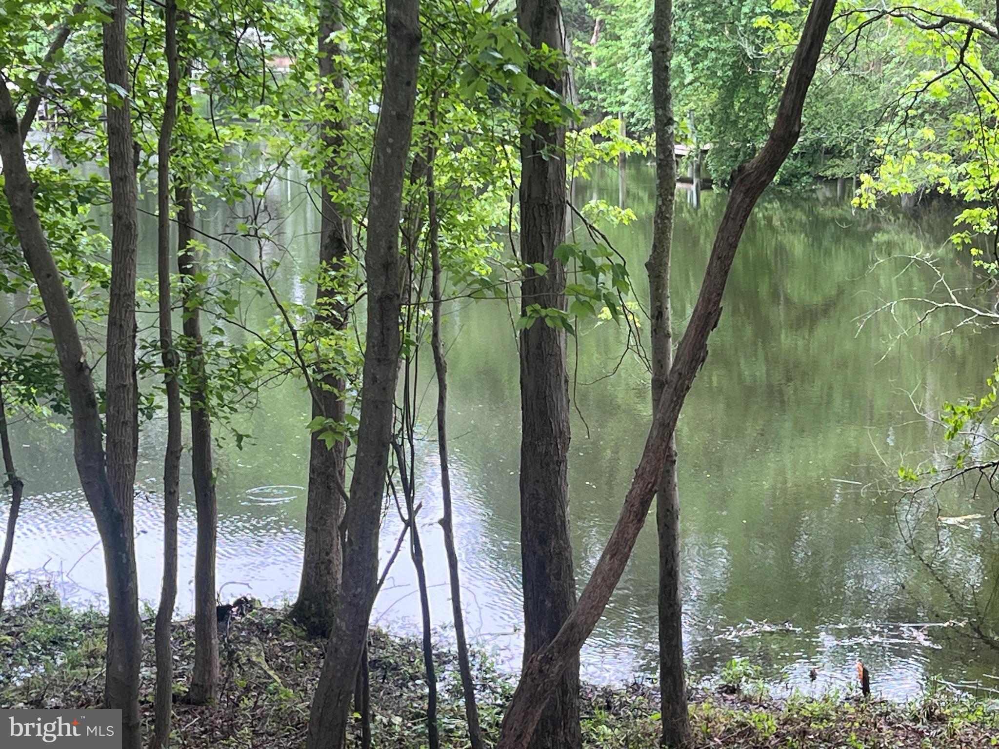 828 Swift Road Pasadena, MD 21122 - Photo 7 of 38 Kayak and Paddleboard haven!