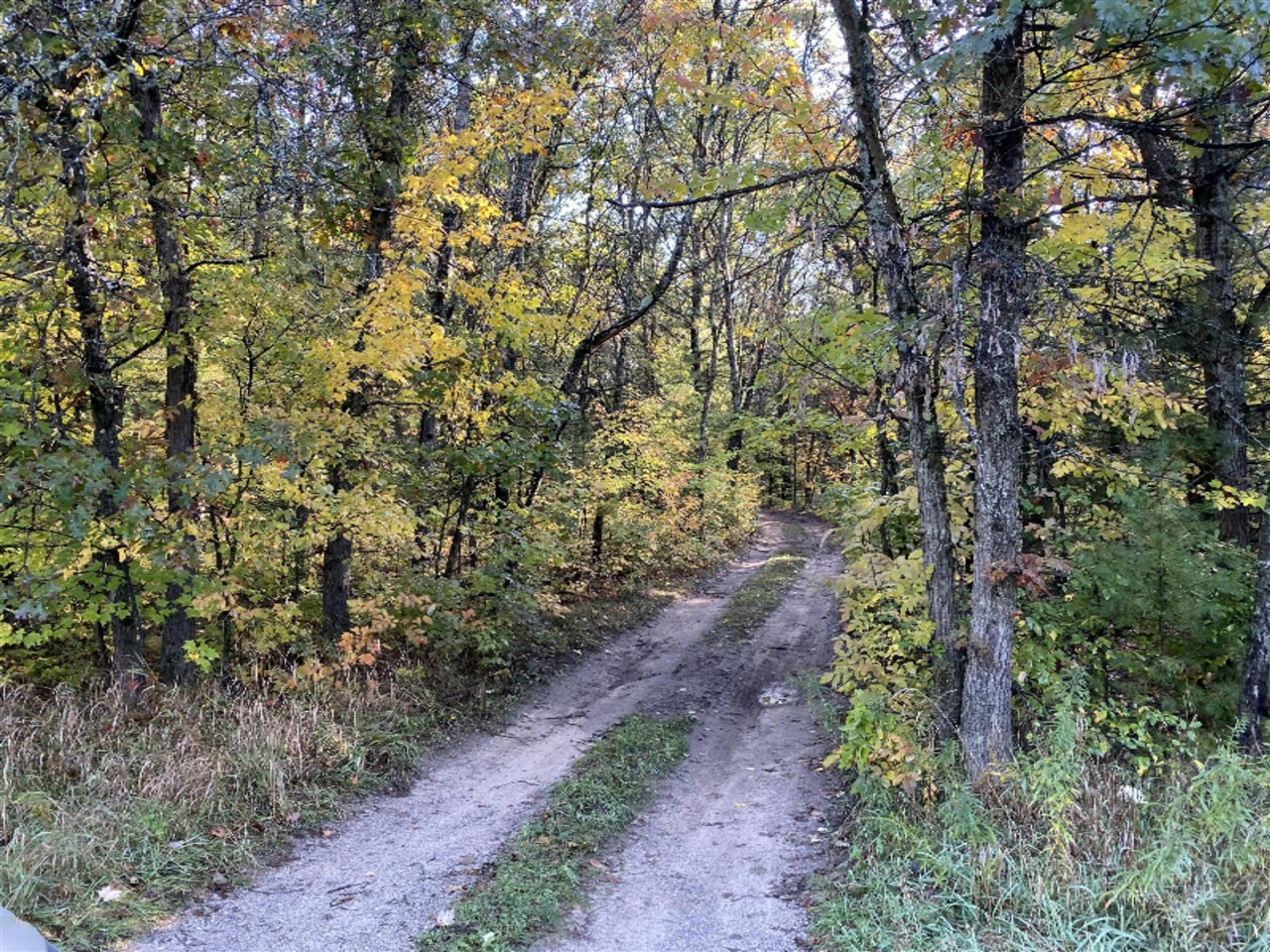 0 West County Line Road Morley, MI 49336 - Photo 2 of 5