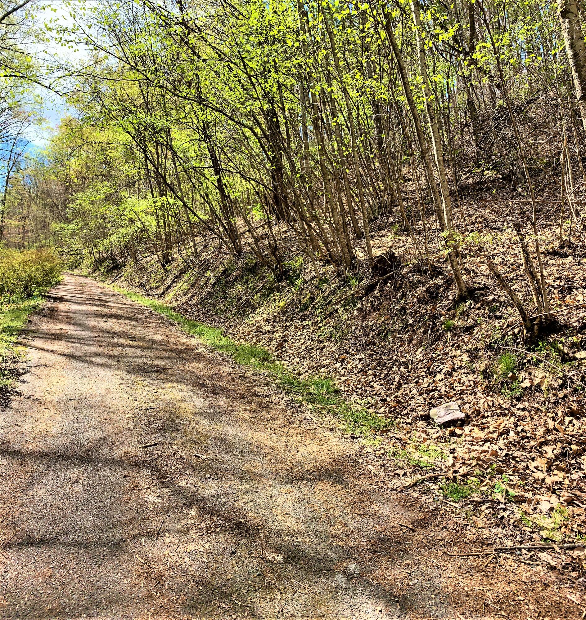 493 Banjo Ridge Road, Unit 29 Butler, TN 37640 - Photo 2 of 7 IMG_2255 (1)