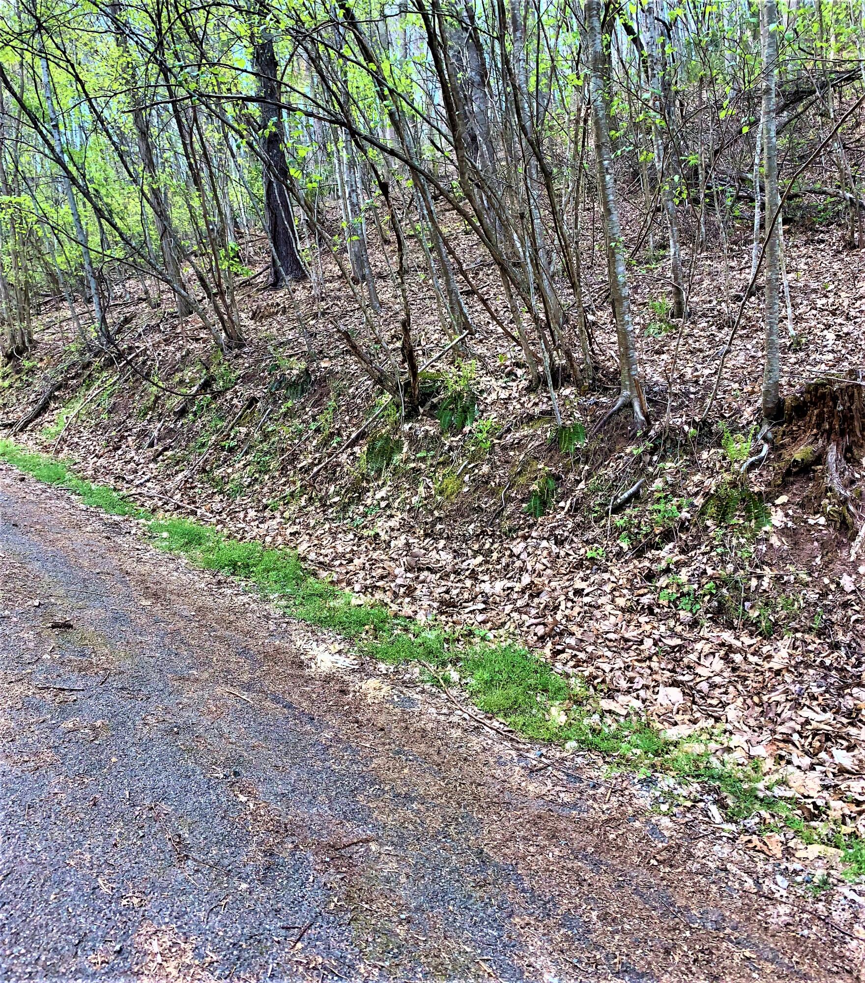 493 Banjo Ridge Road, Unit 29 Butler, TN 37640 - Photo 4 of 7 IMG_2257 (1)