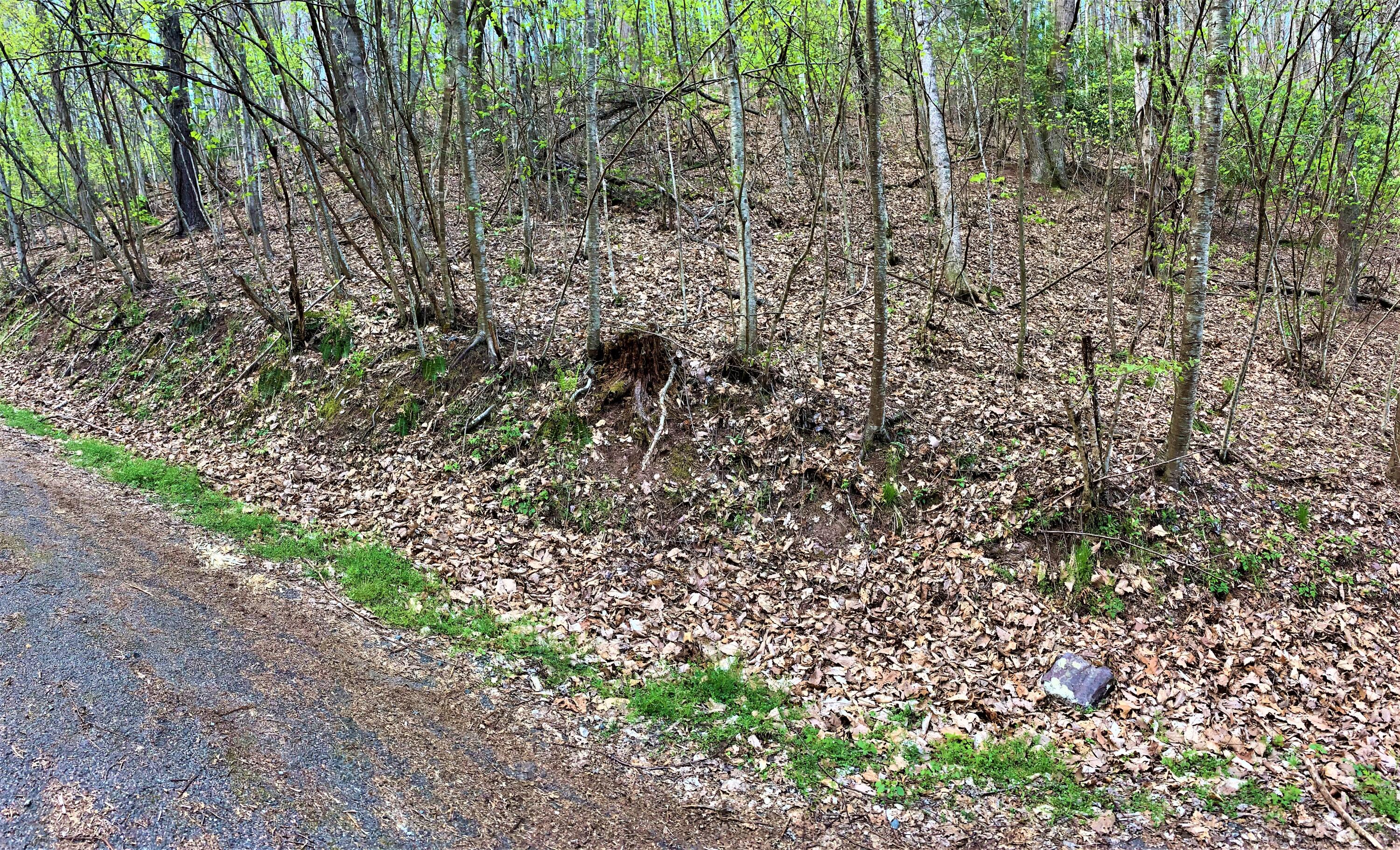 493 Banjo Ridge Road, Unit 29 Butler, TN 37640 - Photo 5 of 7 IMG_2258 (1)