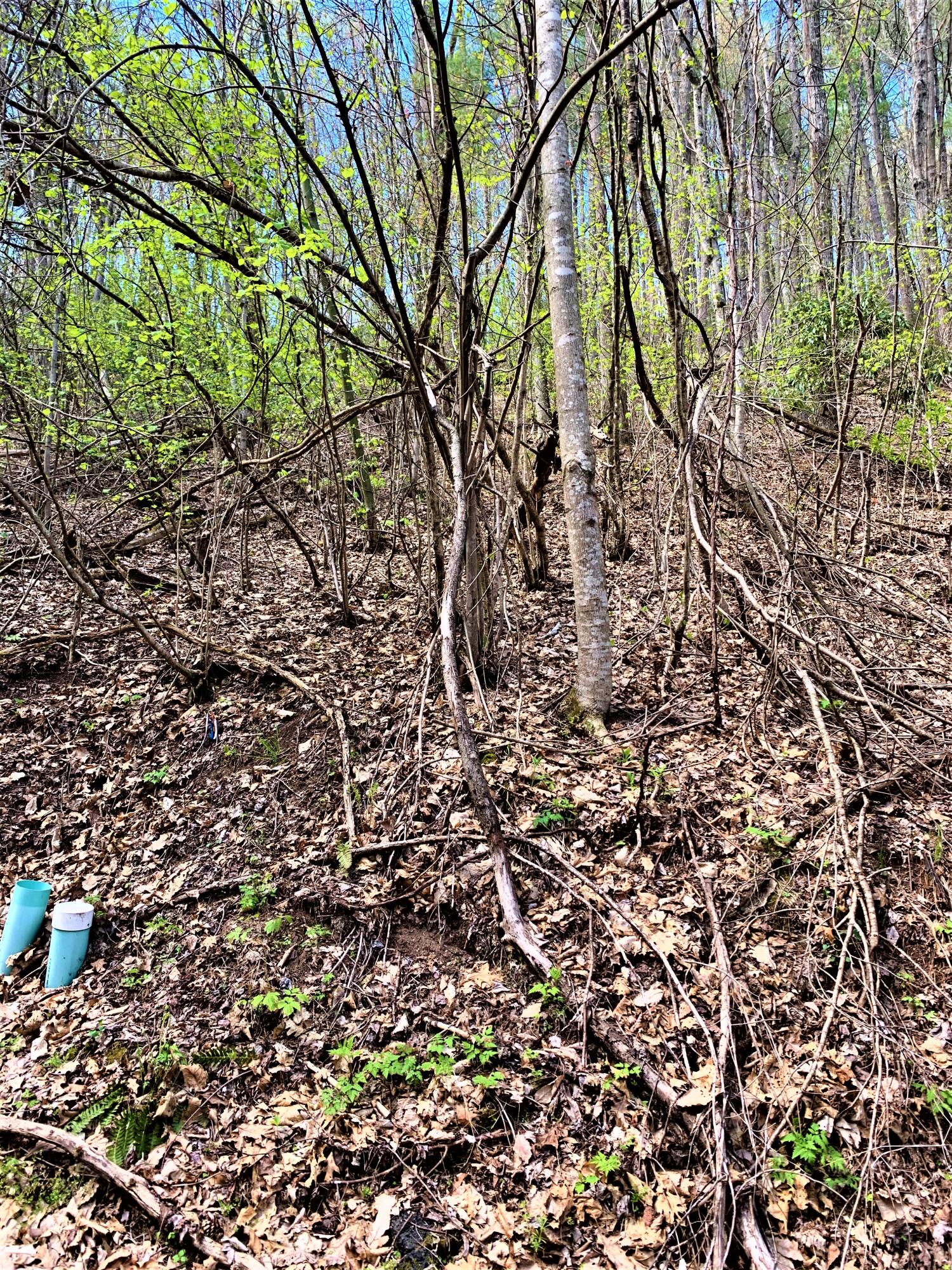 493 Banjo Ridge Road, Unit 29 Butler, TN 37640 - Photo 6 of 7 IMG_2260 (1)