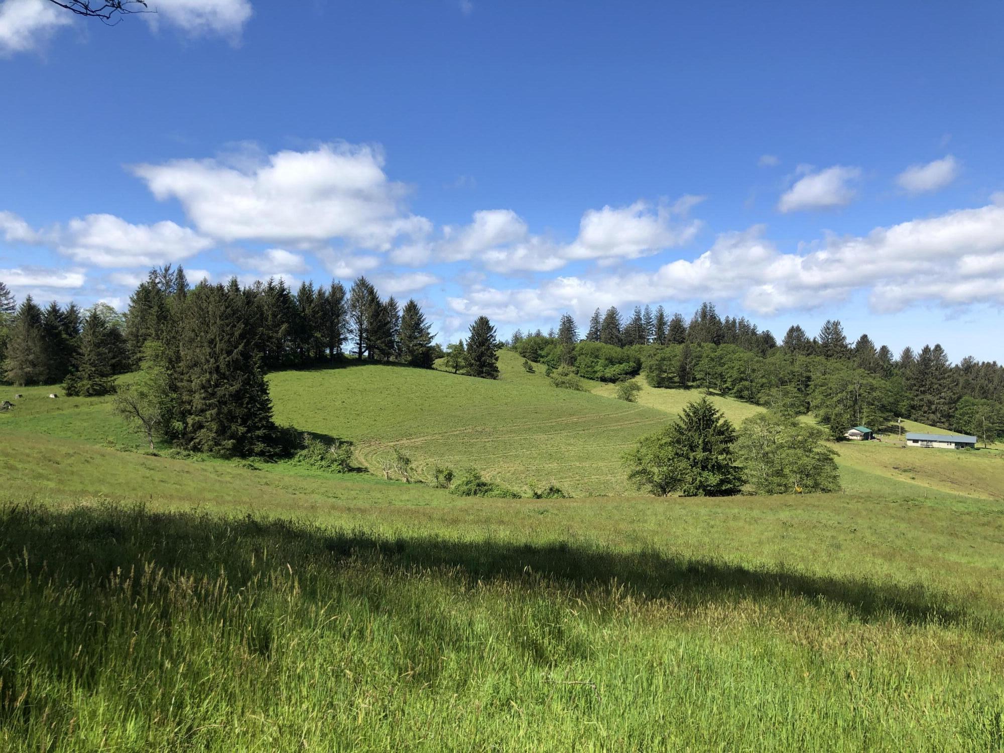 201 Hodgdon Road Tillamook, OR 97141 - Photo 13 of 33 IMG_7843