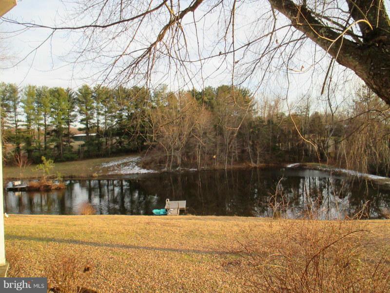 9595 Sherburne Farm Road Marshall, VA 20115 - Photo 17 of 21 Pond