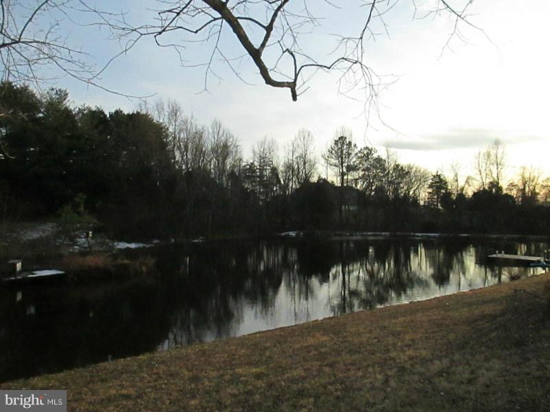 9595 Sherburne Farm Road Marshall, VA 20115 - Photo 18 of 21 Pond