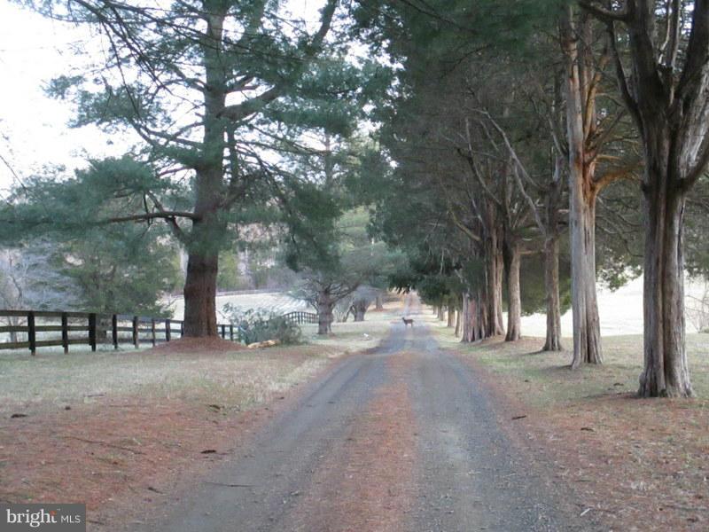 9595 Sherburne Farm Road Marshall, VA 20115 - Photo 20 of 21 Driveway