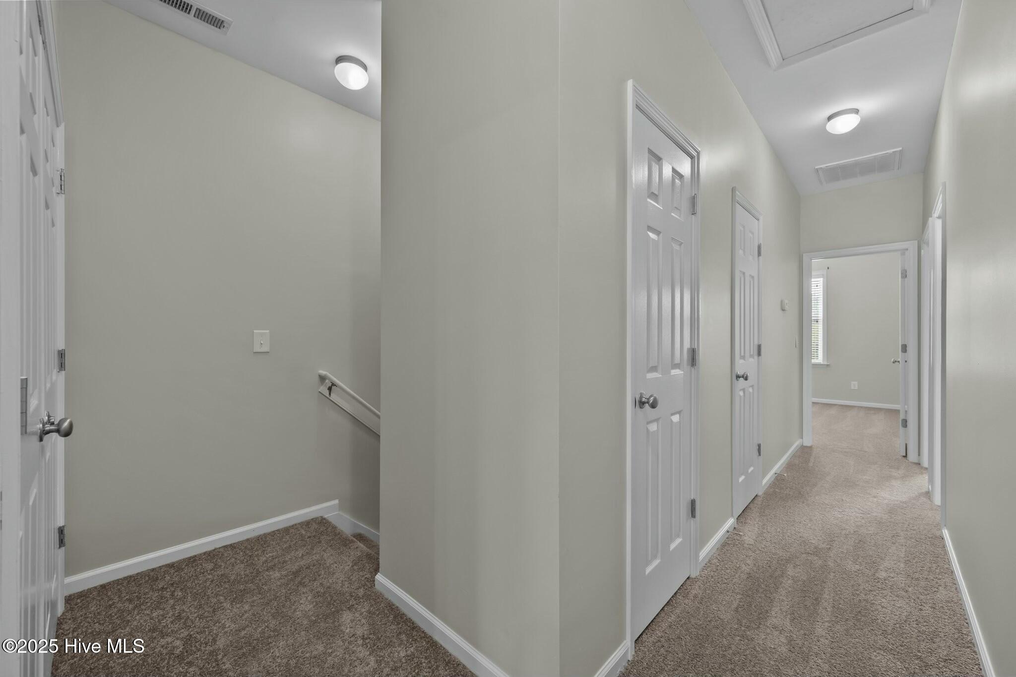 307 Cedar Island Trail Holly Ridge, NC 28445 - Photo 18 of 43 tempImagezuCB8x