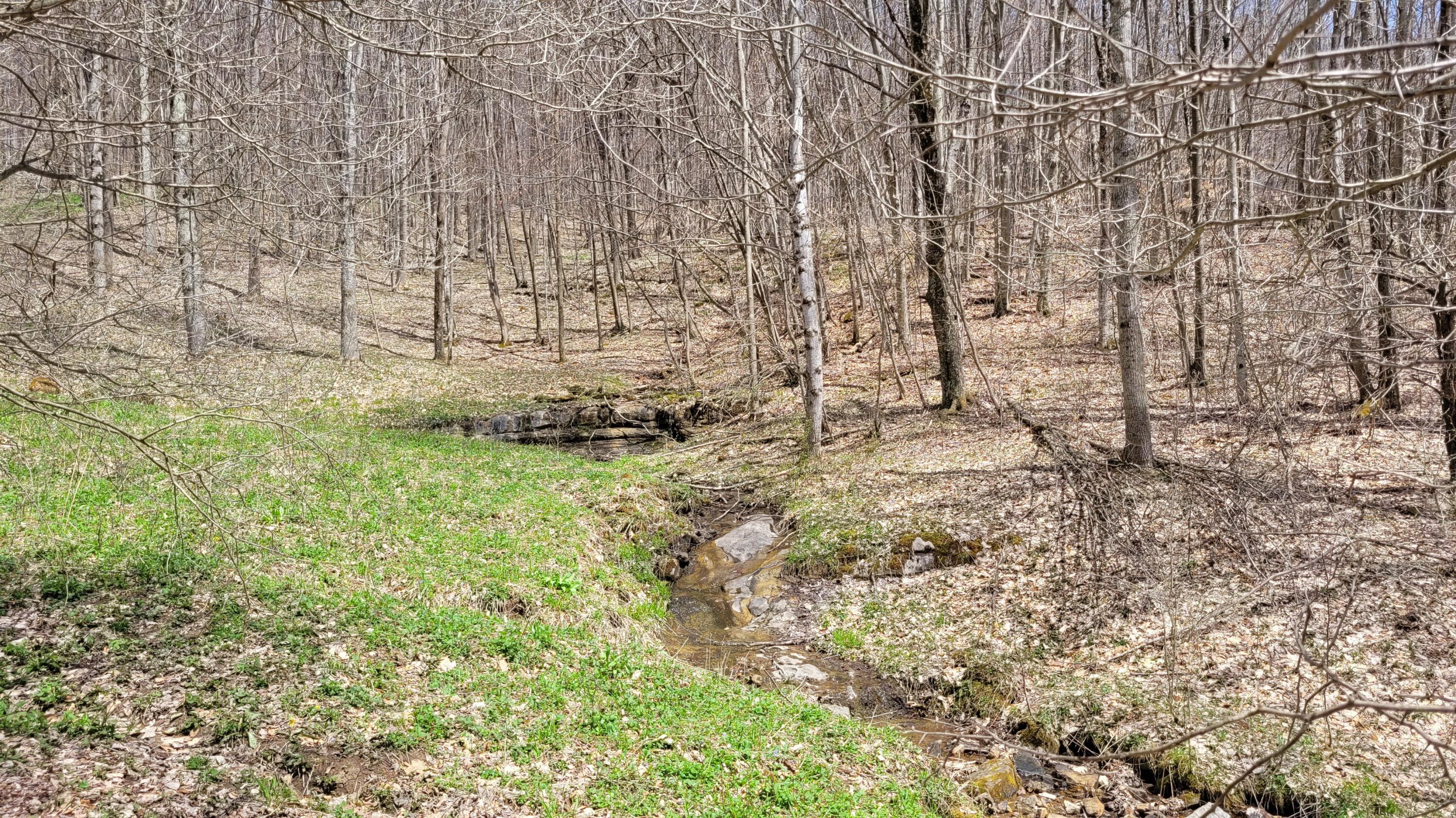 Dry Branch Road Valley Head, WV 26294 - Photo 11 of 24 Gallery Image 11