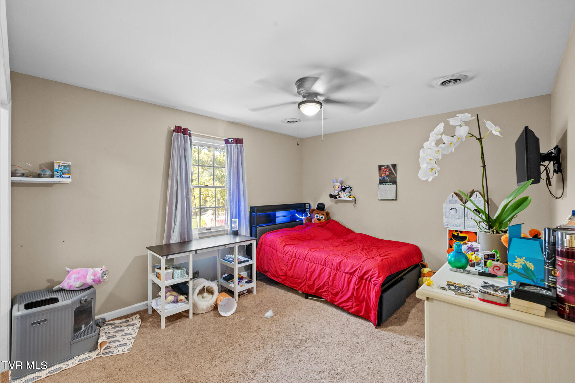 15410 Wilderness Road Bristol, VA 24202 - Photo 29 of 51 DSC_7172