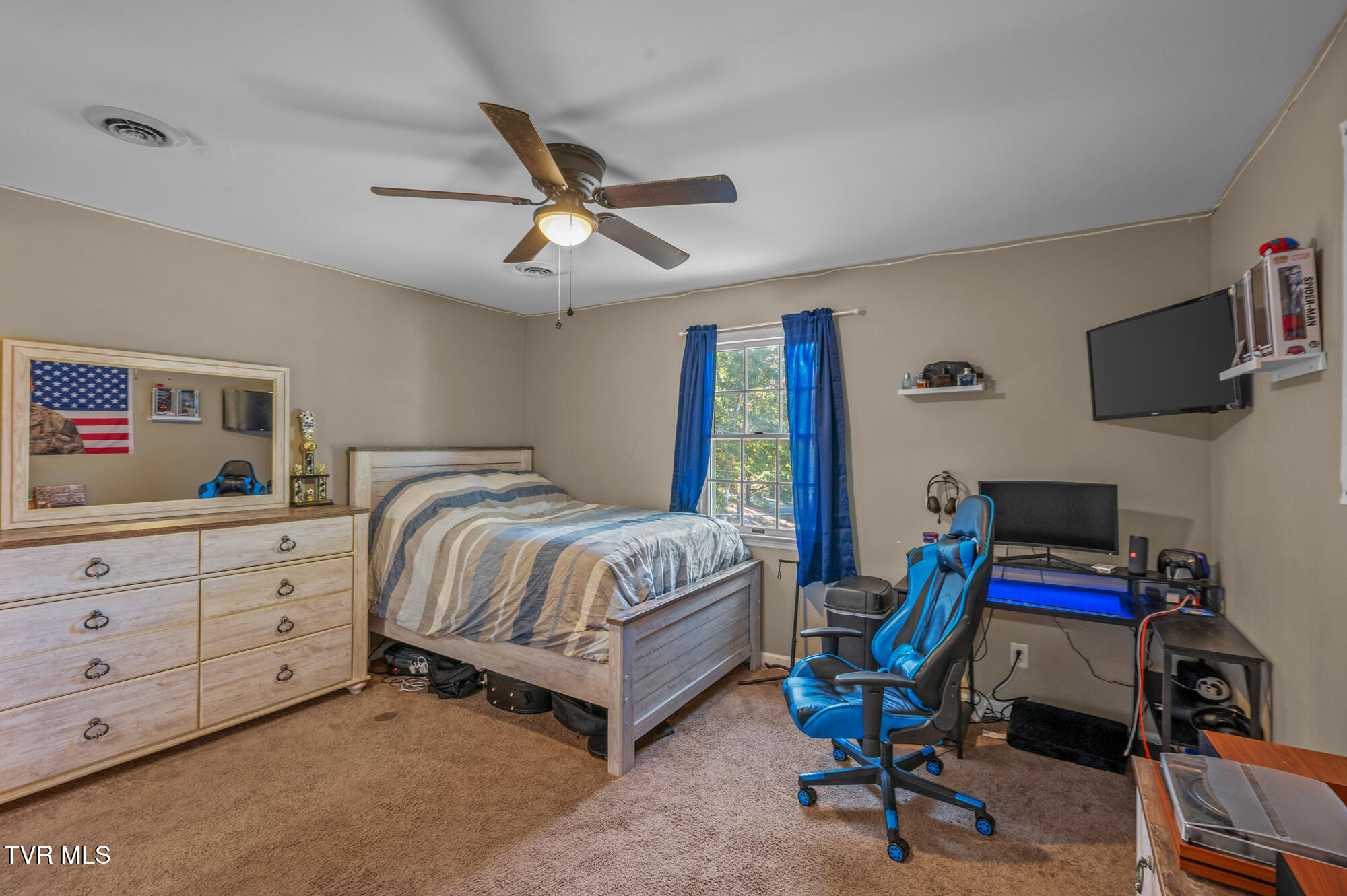 15410 Wilderness Road Bristol, VA 24202 - Photo 32 of 51 DSC_7181 copy