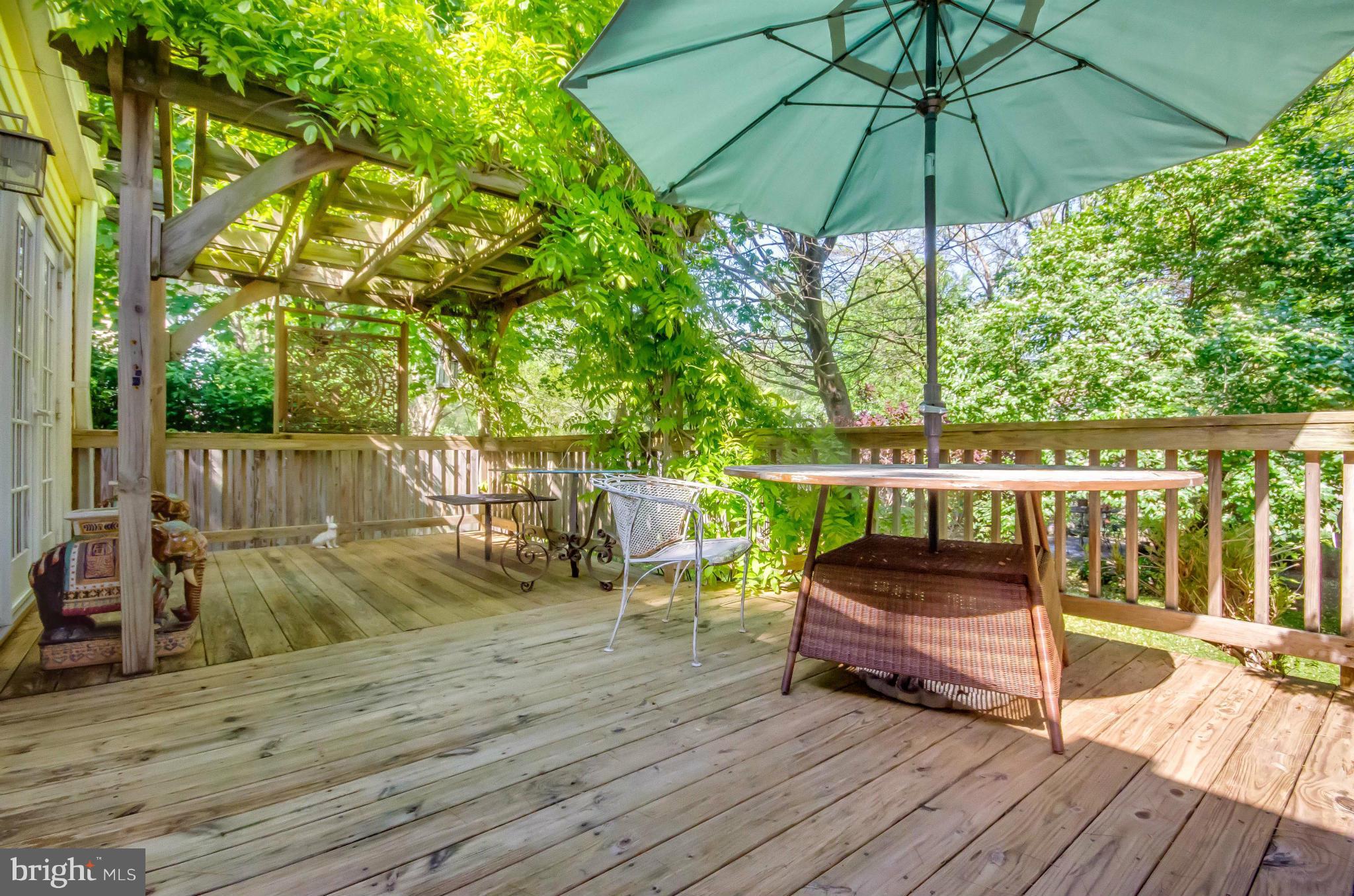 10207 Day Avenue Silver Spring, MD 20910 - Photo 12 of 29 Deck
