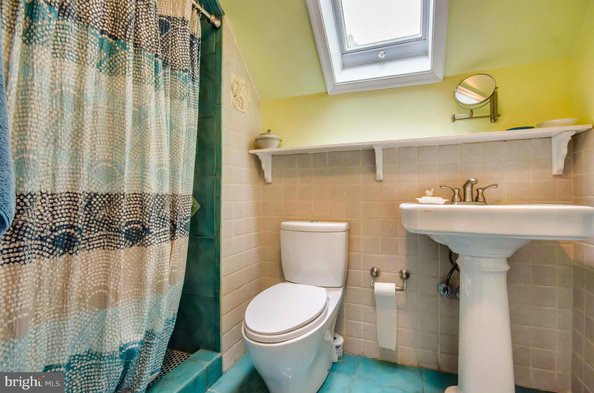 10207 Day Avenue Silver Spring, MD 20910 - Photo 18 of 29 Bath (Master)