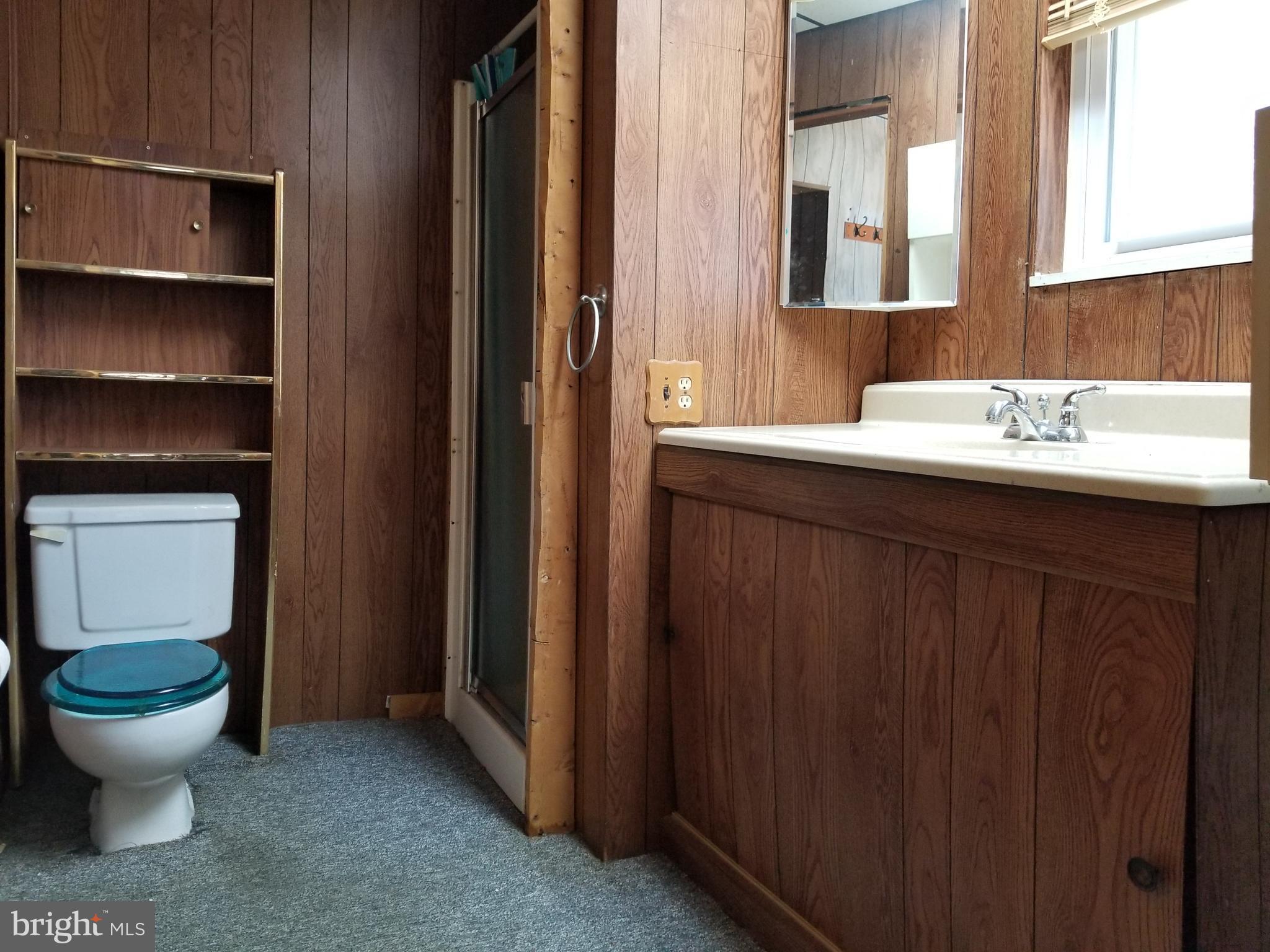 1115 Rosedale Avenue Baltimore, MD 21237 - Photo 16 of 27 a bathroom with a sink and a toilet