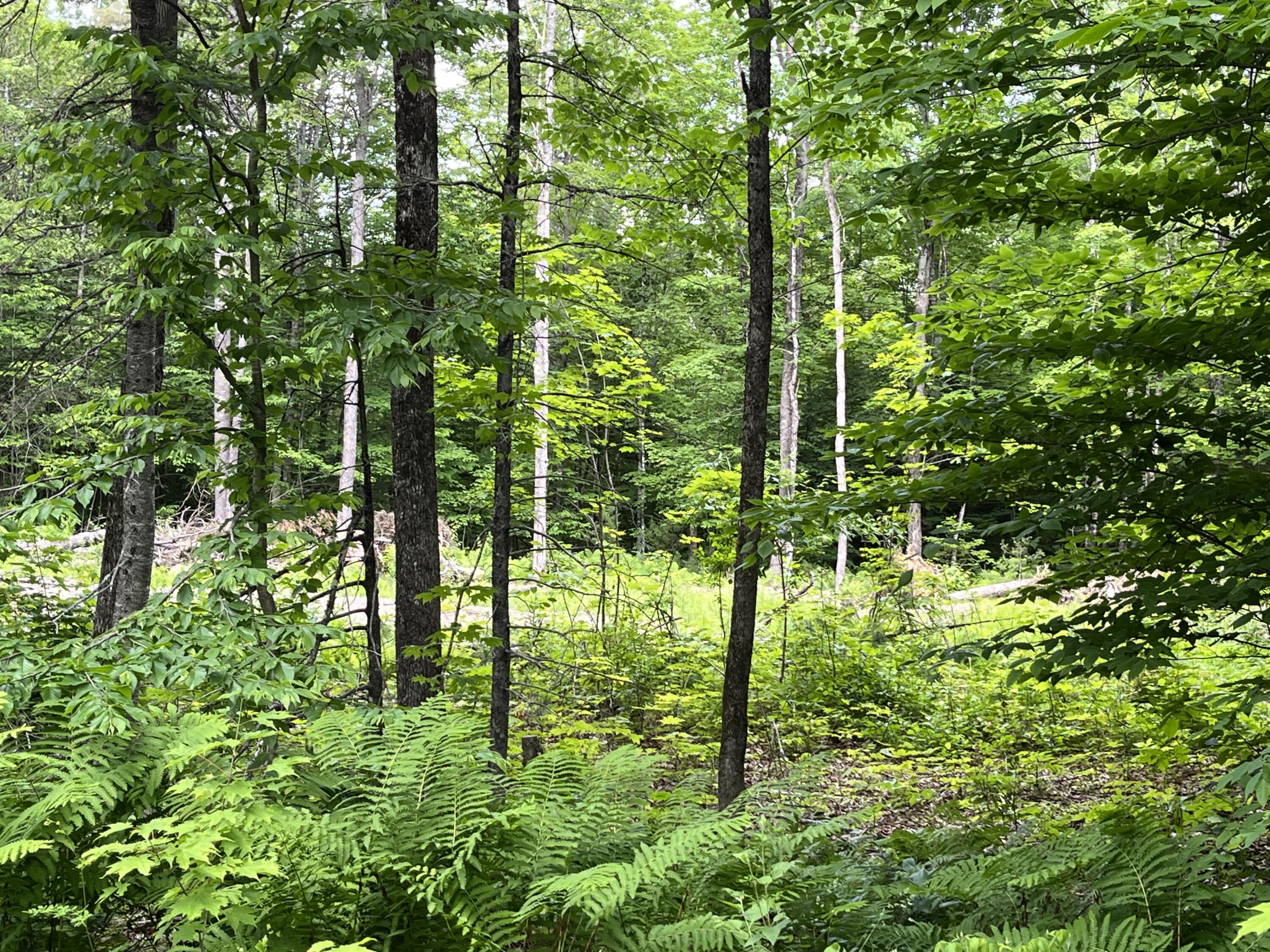 Lot 2 South Solon Road Solon, ME 04979 - Photo 2 of 10 02 Exterior
