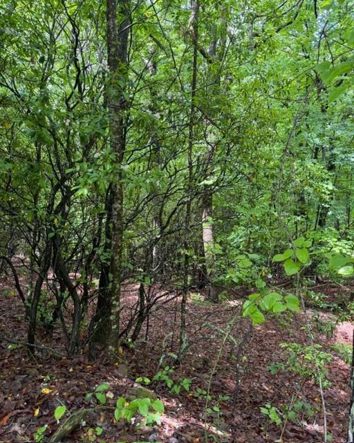 0 Soaring Hawk Trail Cleveland, GA 30528 - Photo 4 of 14 Gallery Image 4
