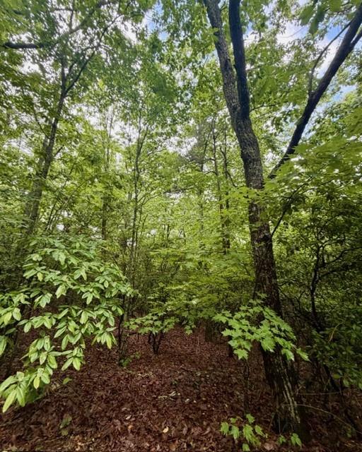 0 Soaring Hawk Trail Cleveland, GA 30528 - Photo 7 of 14 Gallery Image 7