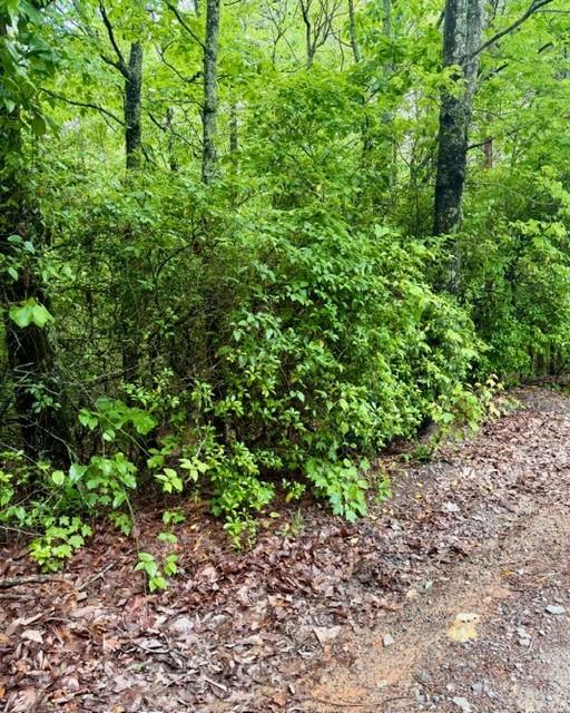 0 Soaring Hawk Trail Cleveland, GA 30528 - Photo 10 of 14 Gallery Image 10