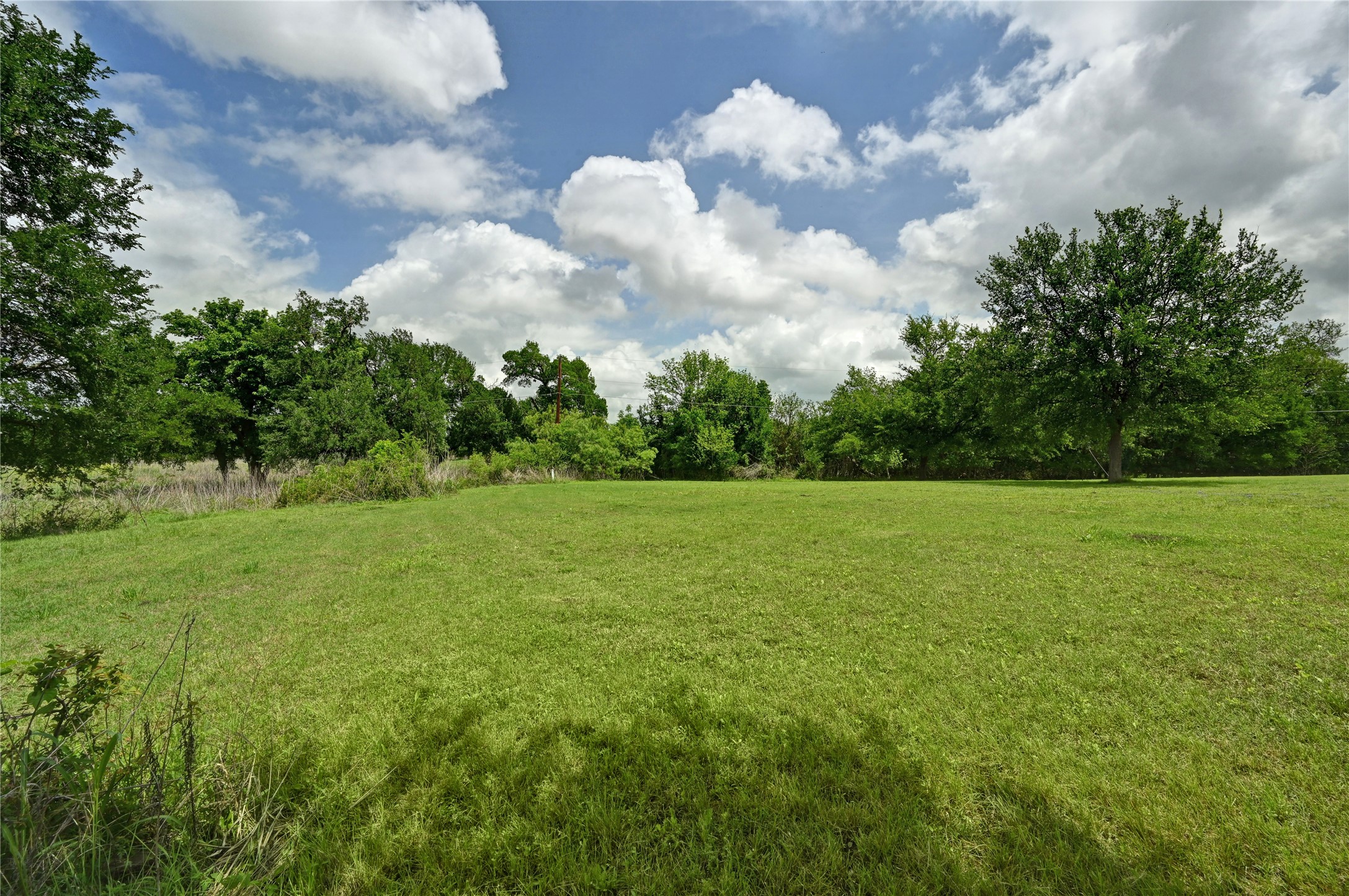 1700 Tanner Loop Taylor, TX 76574 - Photo 29 of 32 Expansive green lawn with scattered mature trees and a clear sky with cumulus clouds