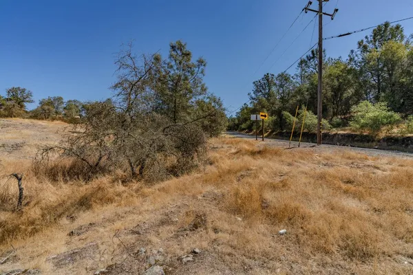 a view of a yard with a tree