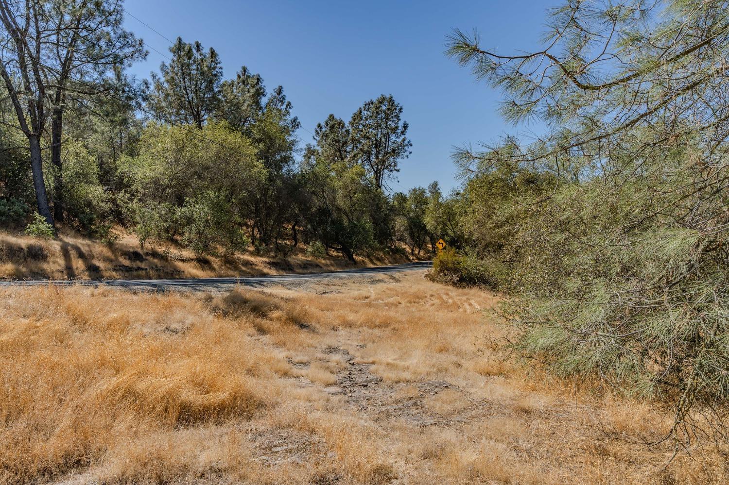 0 Brandy Lane Burson, CA 95225 - Photo 12 of 28