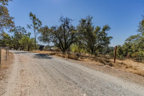 a view of road and trees