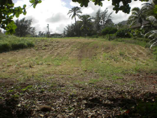 Kukuna Road, Unit 1 Kilauea, HI 96754 - Photo 12 of 25 Gallery Image 12