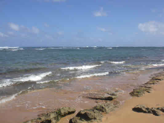 Kukuna Road, Unit 1 Kilauea, HI 96754 - Photo 14 of 25 Gallery Image 14