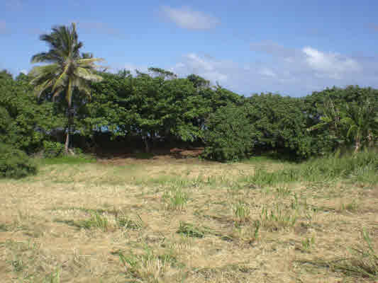 Kukuna Road, Unit 1 Kilauea, HI 96754 - Photo 19 of 25 Gallery Image 19