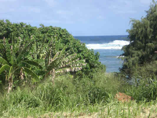Kukuna Road, Unit 1 Kilauea, HI 96754 - Photo 20 of 25 Gallery Image 20