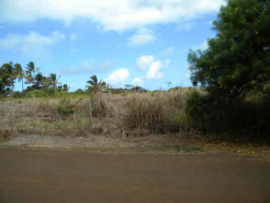 Kukuna Road, Unit 1 Kilauea, HI 96754 - Photo 4 of 25 Gallery Image 4