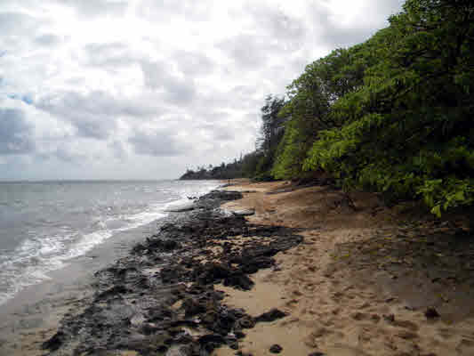 Kukuna Road, Unit 1 Kilauea, HI 96754 - Photo 5 of 25 Gallery Image 5