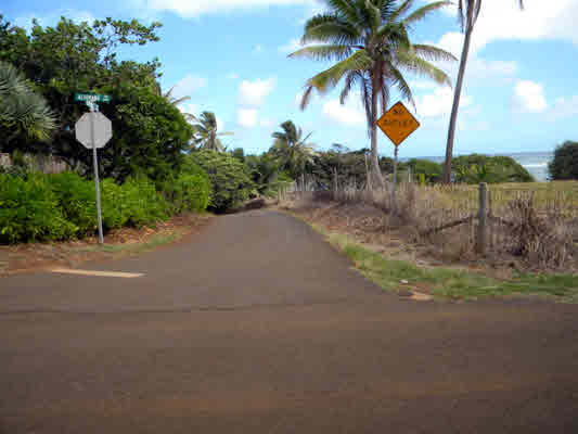 Kukuna Road, Unit 1 Kilauea, HI 96754 - Photo 8 of 25 Gallery Image 8