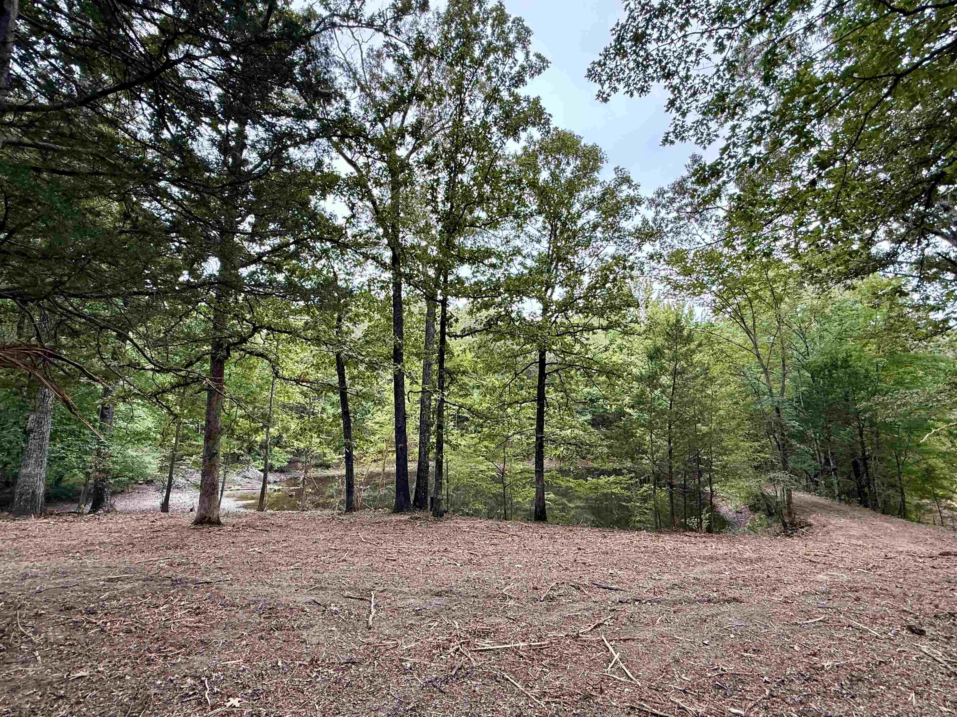 6235 McKinstry Road Moscow, TN 38057 - Photo 38 of 40