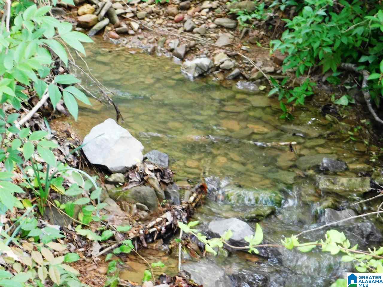320 Walkers Gap Road Springville, AL 35146 - Photo 16 of 25 Gallery Image 16