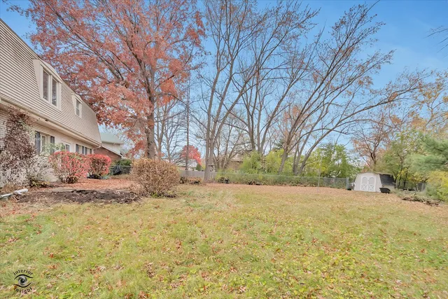 a view of a yard with a large tree