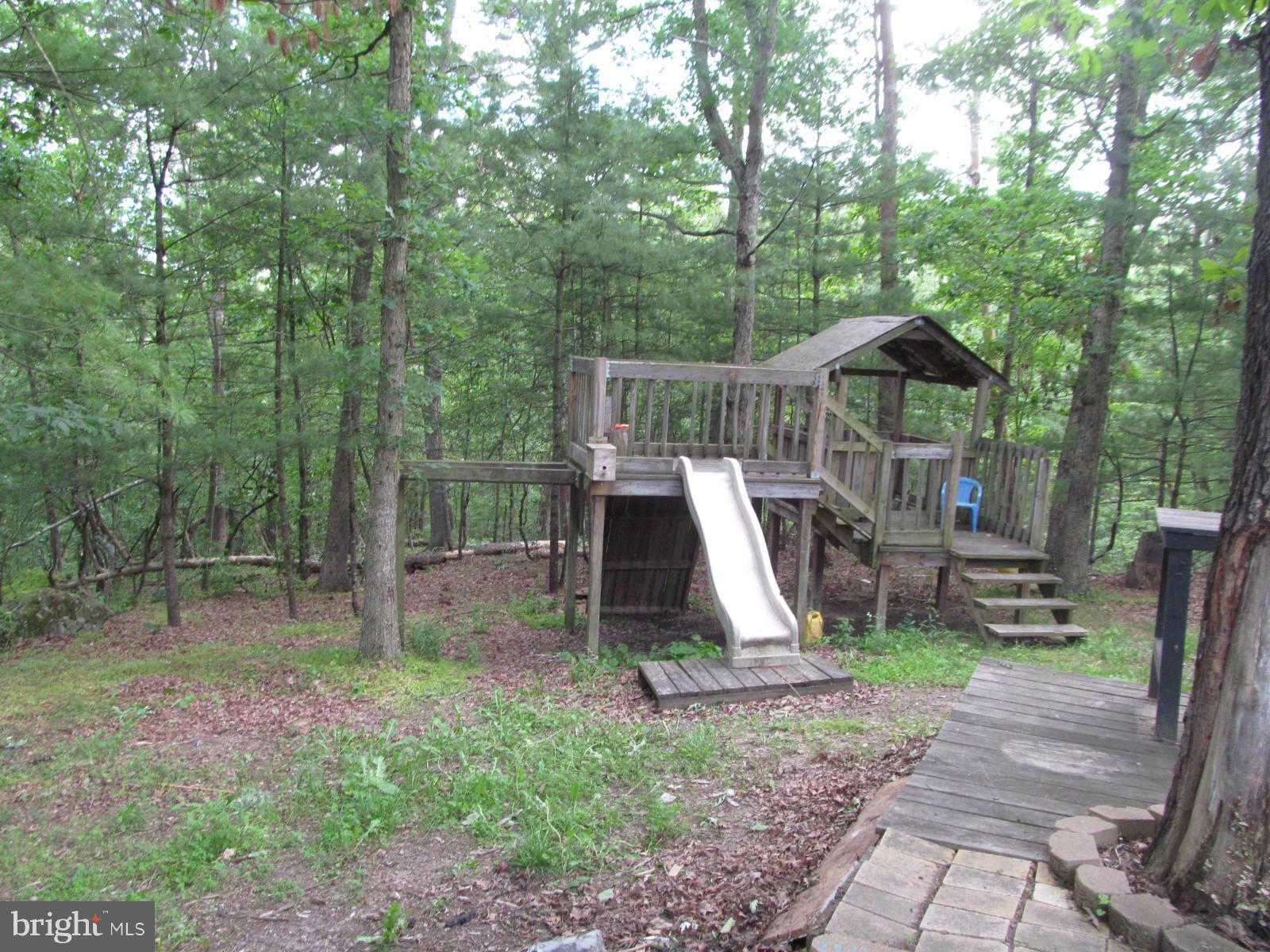 2977 Crooked Run Road Mount Jackson, VA 22842 - Photo 25 of 28 Play Area