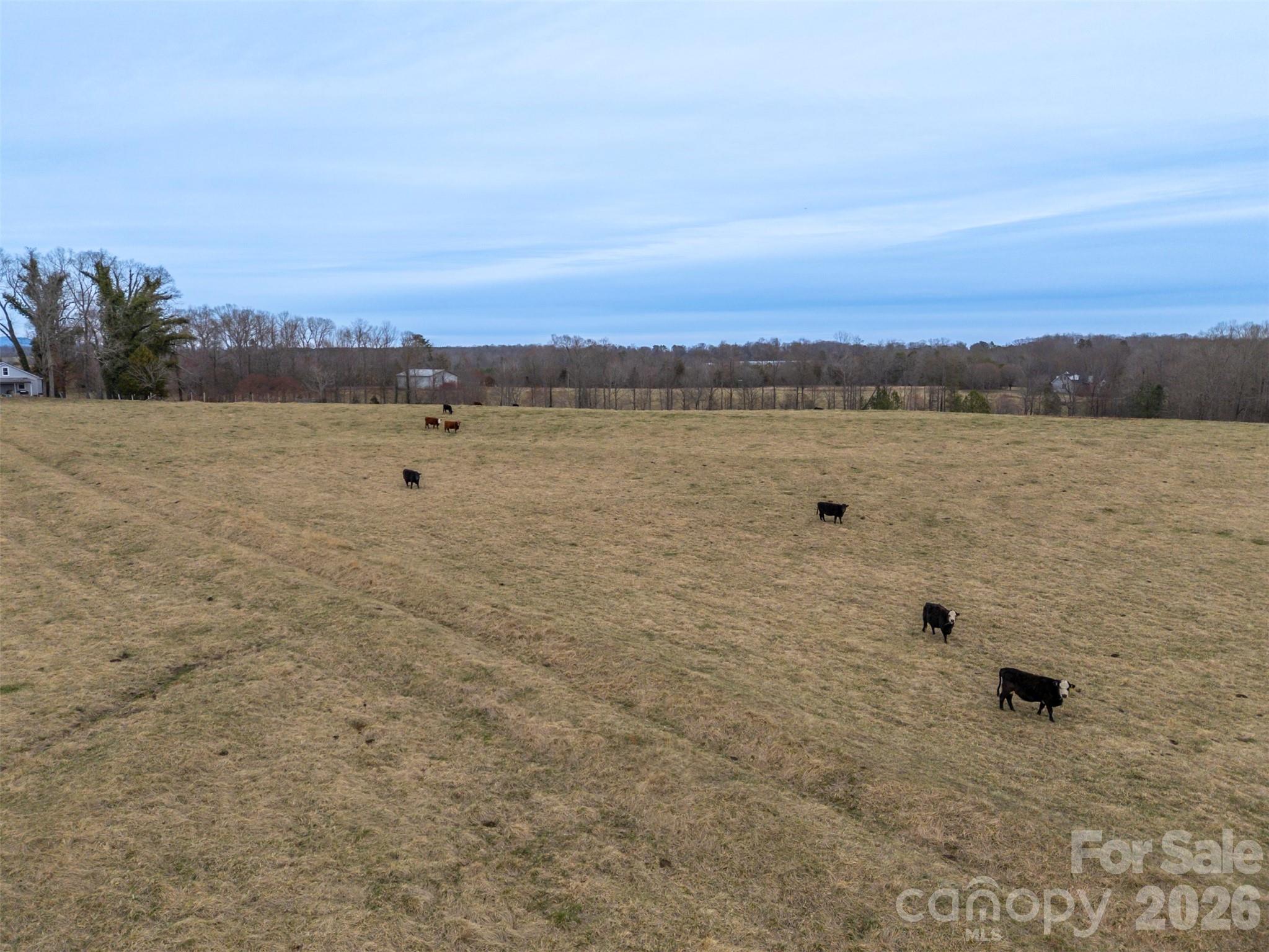 0 Red Barn Road Ellenboro, NC 28040 - Photo 14 of 28 a view of lake view and mountain view
