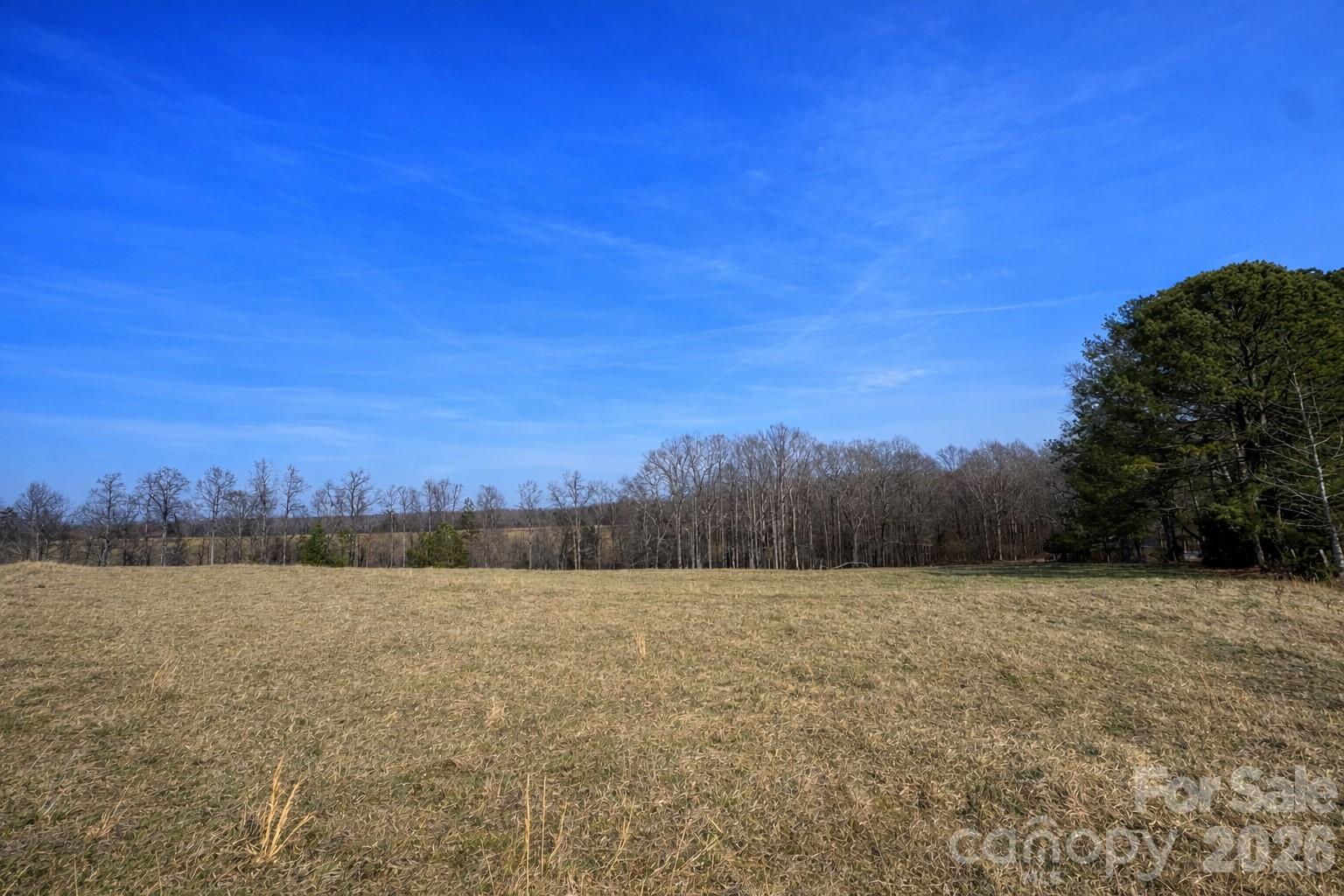 0 Red Barn Road Ellenboro, NC 28040 - Photo 5 of 28 a view of a field with trees in the background