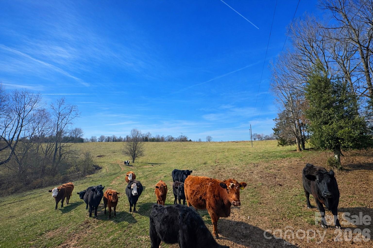 0 Red Barn Road Ellenboro, NC 28040 - Photo 7 of 28 a view of a lake with a mountain
