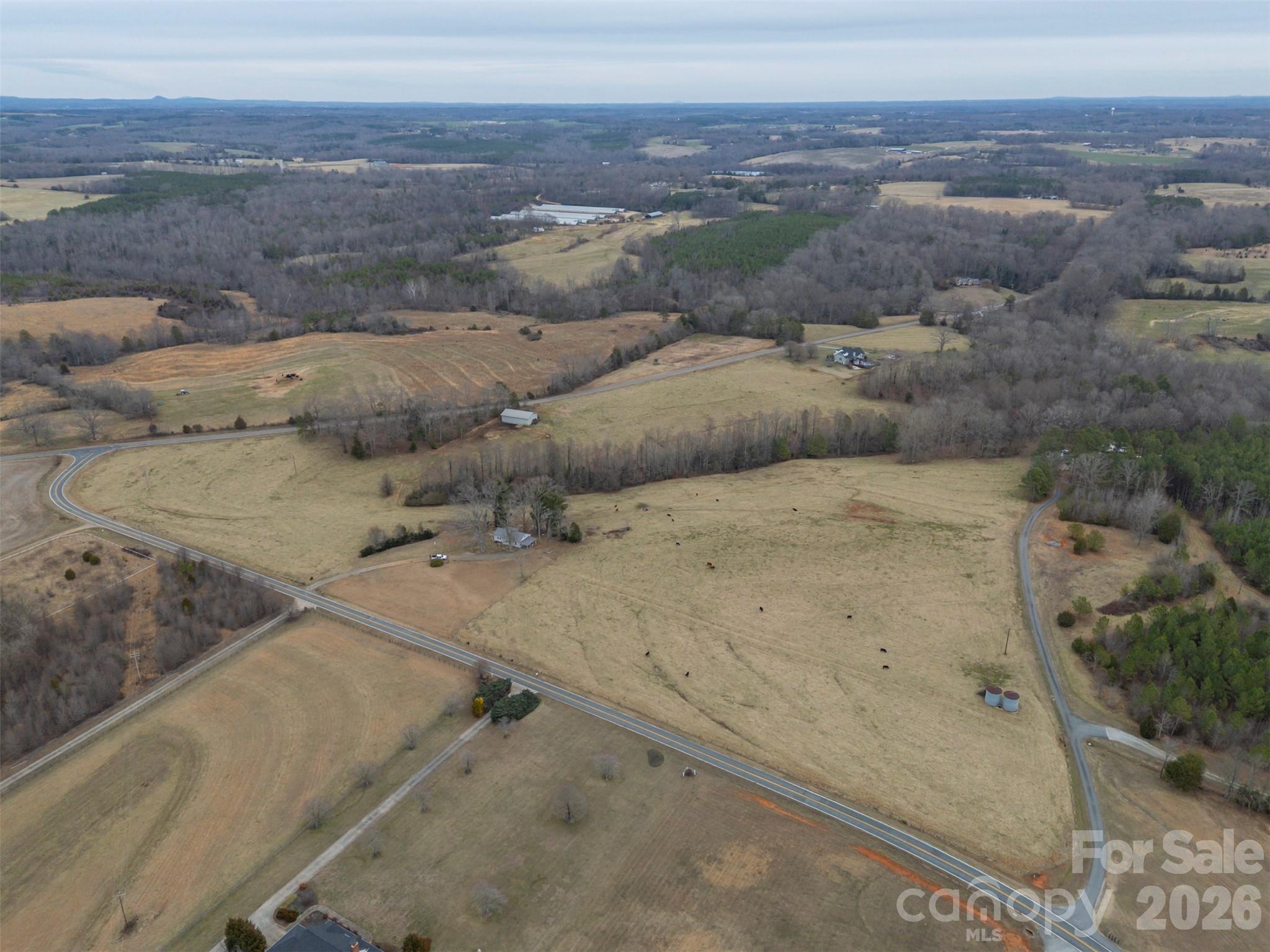 0 Red Barn Road Ellenboro, NC 28040 - Photo 10 of 28 a view of lot of trees