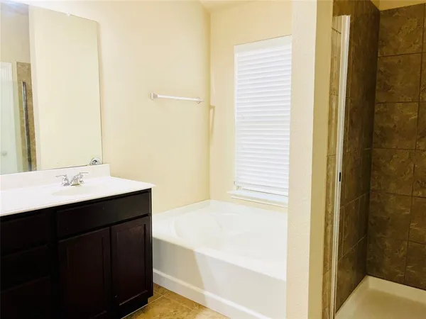a bathroom with a tub sink and mirror