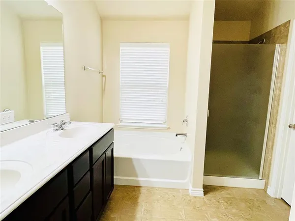a bathroom with a sink a mirror and a bathtub