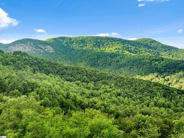 $129,500 | 214 Craggy Rock Lane, Landrum, SC 29356