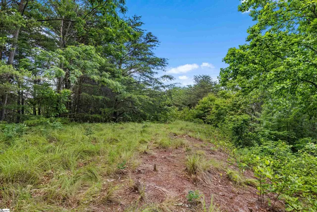 $129,500 | 214 Craggy Rock Lane, Landrum, SC 29356