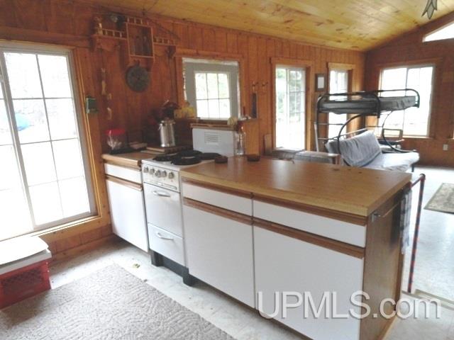 24494 L P Walsh Road White Pine, MI 49971 - Photo 3 of 28