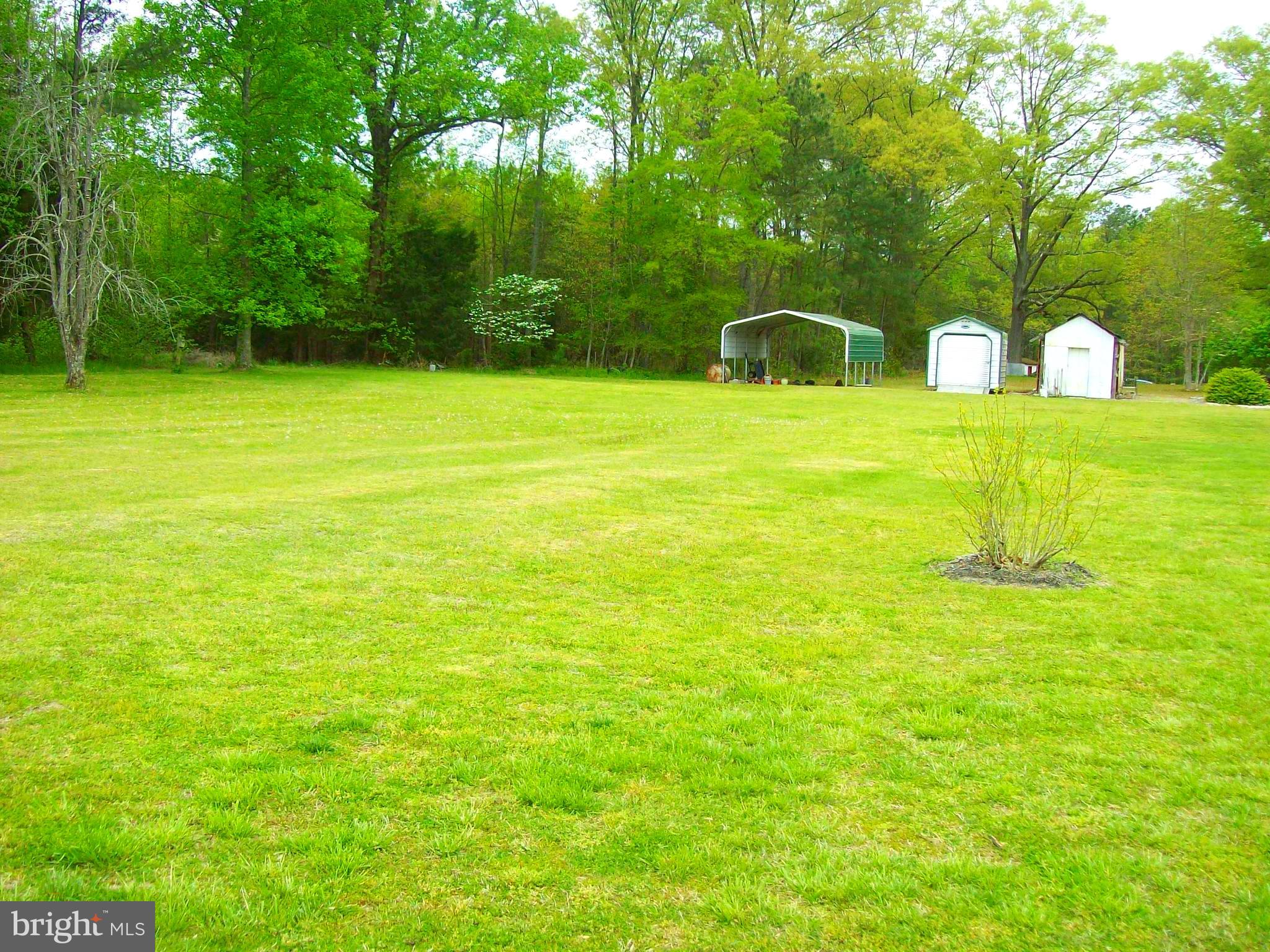 18094 Doggetts Fork Road Ruther Glen, VA 22546 - Photo 6 of 7 Gallery Image 6