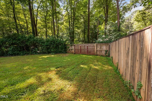 a view of a yard with plants and trees
